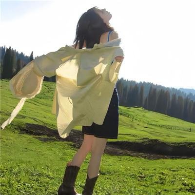 菜鸟王爷闹江湖